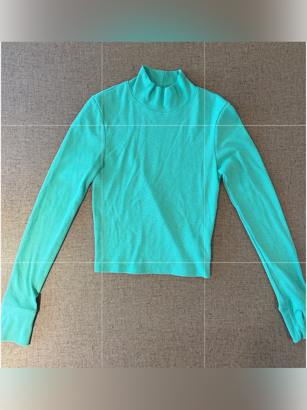 American Eagle Outfitters Aqua Ribbed Mock Neck Long Sleeve Top Cropped